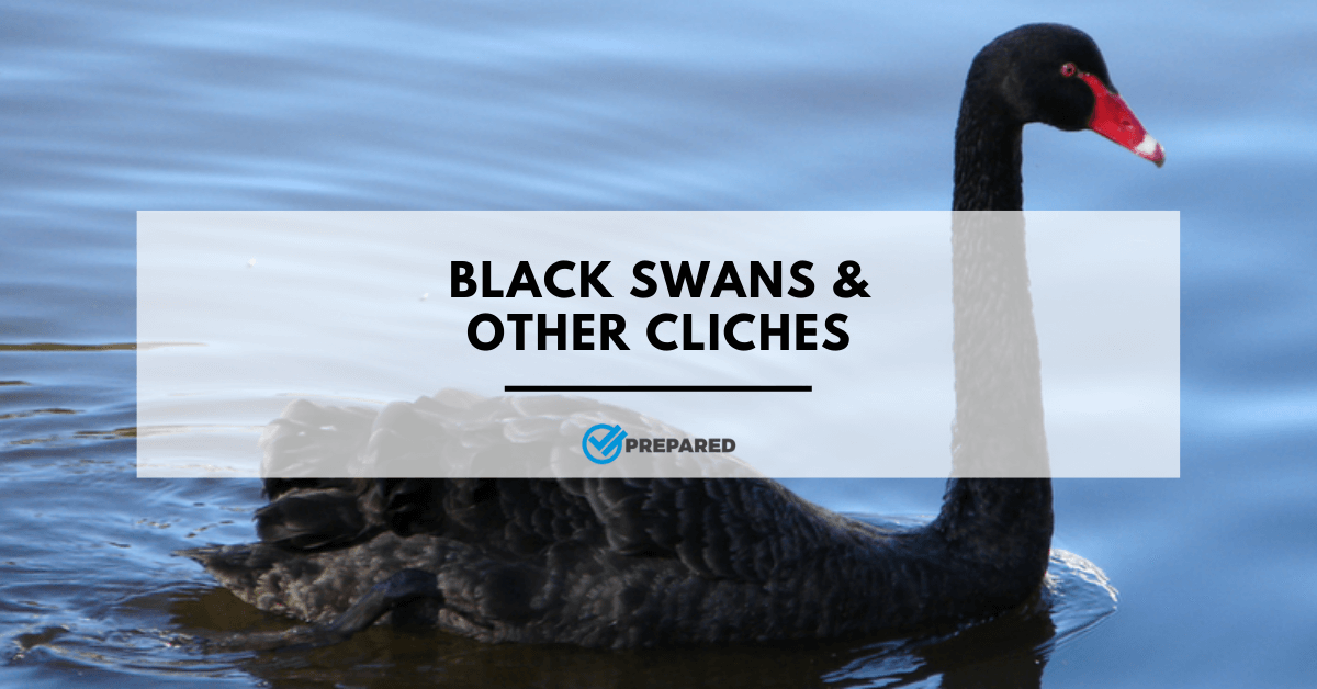 scenario awareness: black swans and other cliches