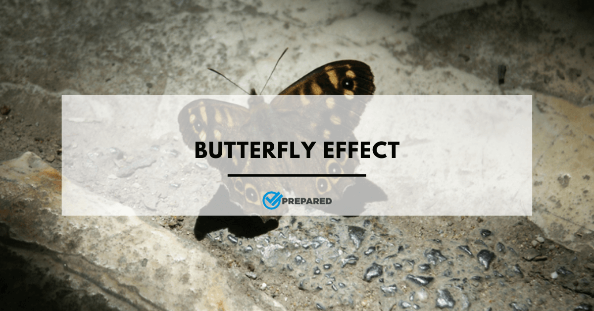 Butterfly Effect: A Butterfly Flaps Its Wings in Asia